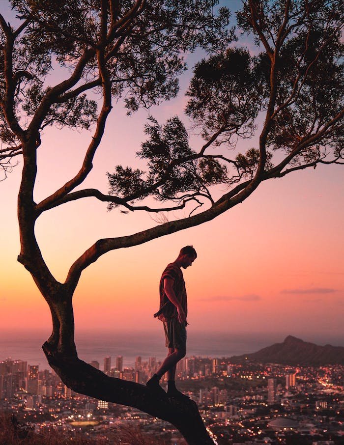 gallery-1 Silhouetted man on a tree at sunset with a panoramic view of Honolulu cityscape in the background.